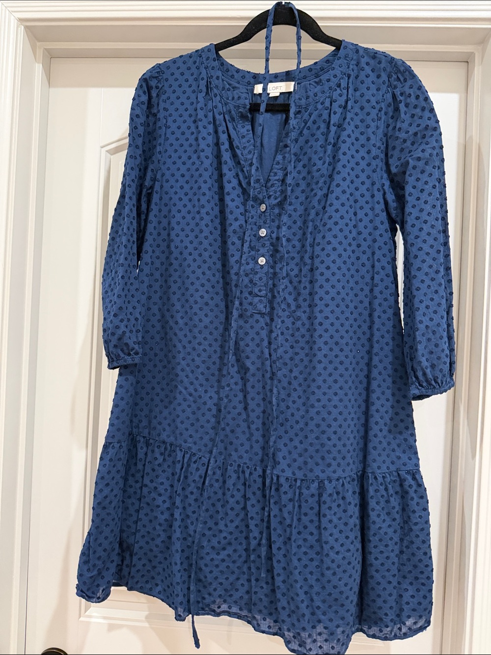 LOFT Blue Swiss Dot Tiered Popover Dress